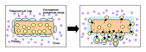 Механизм удаления соли из продукта (иллюстрация с сайта sharp-world.com).